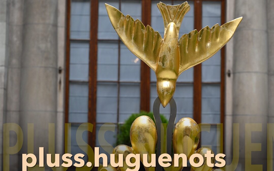 «pluss.huguenots» Dokumentarfilm